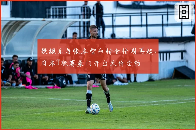樊振东与张本智和转会传闻再起，日本T联赛豪门开出天价合约