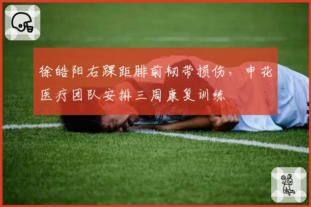徐皓阳右踝距腓前韧带损伤,申花医疗团队安排三周康复训练