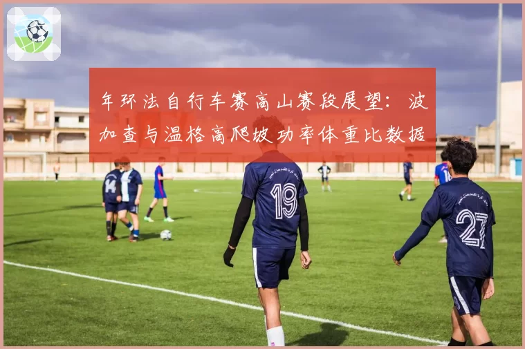 年环法自行车赛高山赛段展望:波加查与温格高爬坡功率体重比数据PK