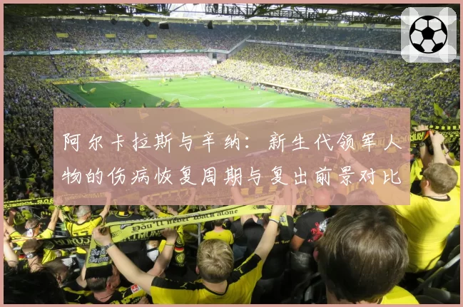 阿尔卡拉斯与辛纳：新生代领军人物的伤病恢复周期与复出前景对比