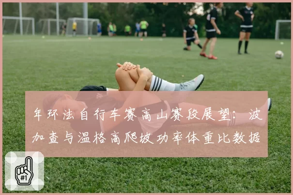 年环法自行车赛高山赛段展望:波加查与温格高爬坡功率体重比数据PK