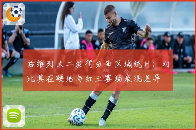 兹维列夫二发得分率区域统计：对比其在硬地与红土赛场表现差异