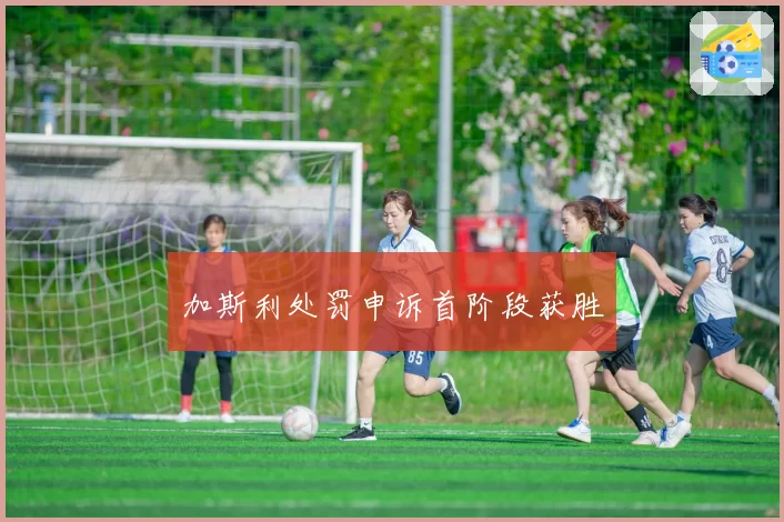加斯利处罚申诉首阶段获胜